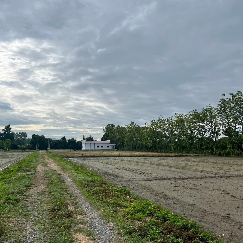 ประกาศฟรี! ซื้อ-ขาย-เช่า คอนโด บ้าน ทาวน์โฮม ที่ดิน และพื้นที่เชิงพาณิชย์ทั่วประเทศไทย ทุกทำเล ทุกงบประมาณ ไม่มีค่าใช้จ่าย ลงง่าย ขายไว เข้าถึงผู้ซื้อโดยตรง 4 314143pic3.jpg