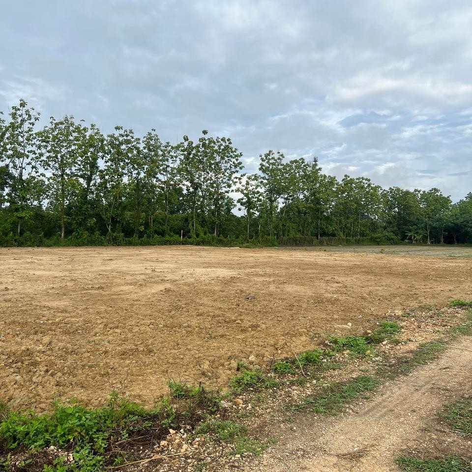 ประกาศฟรี! ซื้อ-ขาย-เช่า คอนโด บ้าน ทาวน์โฮม ที่ดิน และพื้นที่เชิงพาณิชย์ทั่วประเทศไทย ทุกทำเล ทุกงบประมาณ ไม่มีค่าใช้จ่าย ลงง่าย ขายไว เข้าถึงผู้ซื้อโดยตรง 5 314143pic4.jpg