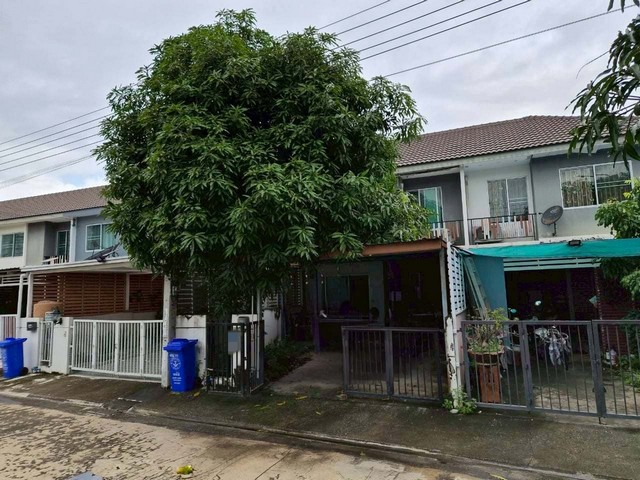 ประกาศฟรี! ซื้อ-ขาย-เช่า คอนโด บ้าน ทาวน์โฮม ที่ดิน และพื้นที่เชิงพาณิชย์ทั่วประเทศไทย ทุกทำเล ทุกงบประมาณ ไม่มีค่าใช้จ่าย ลงง่าย ขายไว เข้าถึงผู้ซื้อโดยตรง 4 249459pic3.jpg