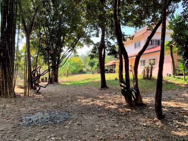 ประกาศฟรี! ซื้อ-ขาย-เช่า คอนโด บ้าน ทาวน์โฮม ที่ดิน และพื้นที่เชิงพาณิชย์ทั่วประเทศไทย ทุกทำเล ทุกงบประมาณ ไม่มีค่าใช้จ่าย ลงง่าย ขายไว เข้าถึงผู้ซื้อโดยตรง 4 314165pic3.jpg