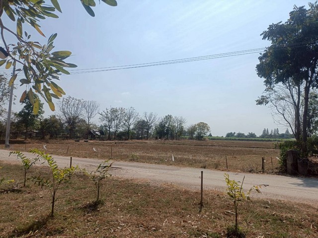 ประกาศฟรี! ซื้อ-ขาย-เช่า คอนโด บ้าน ทาวน์โฮม ที่ดิน และพื้นที่เชิงพาณิชย์ทั่วประเทศไทย ทุกทำเล ทุกงบประมาณ ไม่มีค่าใช้จ่าย ลงง่าย ขายไว เข้าถึงผู้ซื้อโดยตรง 3 314163pic2.jpg