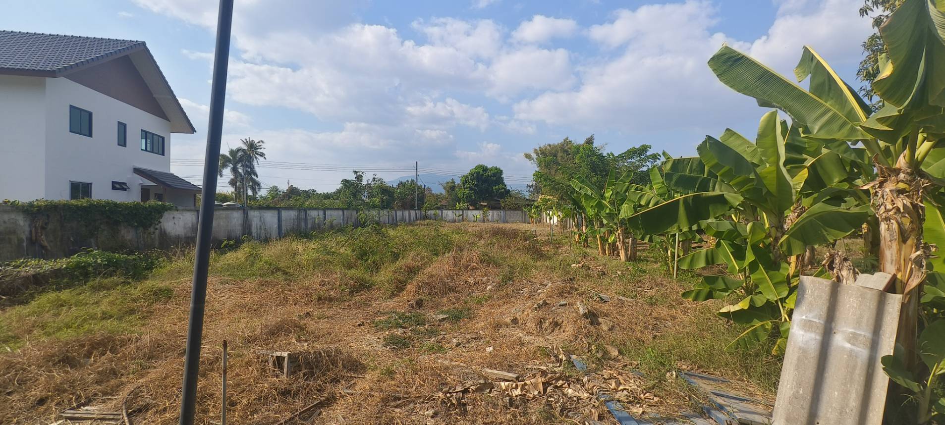 ประกาศฟรี! ซื้อ-ขาย-เช่า คอนโด บ้าน ทาวน์โฮม ที่ดิน และพื้นที่เชิงพาณิชย์ทั่วประเทศไทย ทุกทำเล ทุกงบประมาณ ไม่มีค่าใช้จ่าย ลงง่าย ขายไว เข้าถึงผู้ซื้อโดยตรง 2 314178pic1.jpg