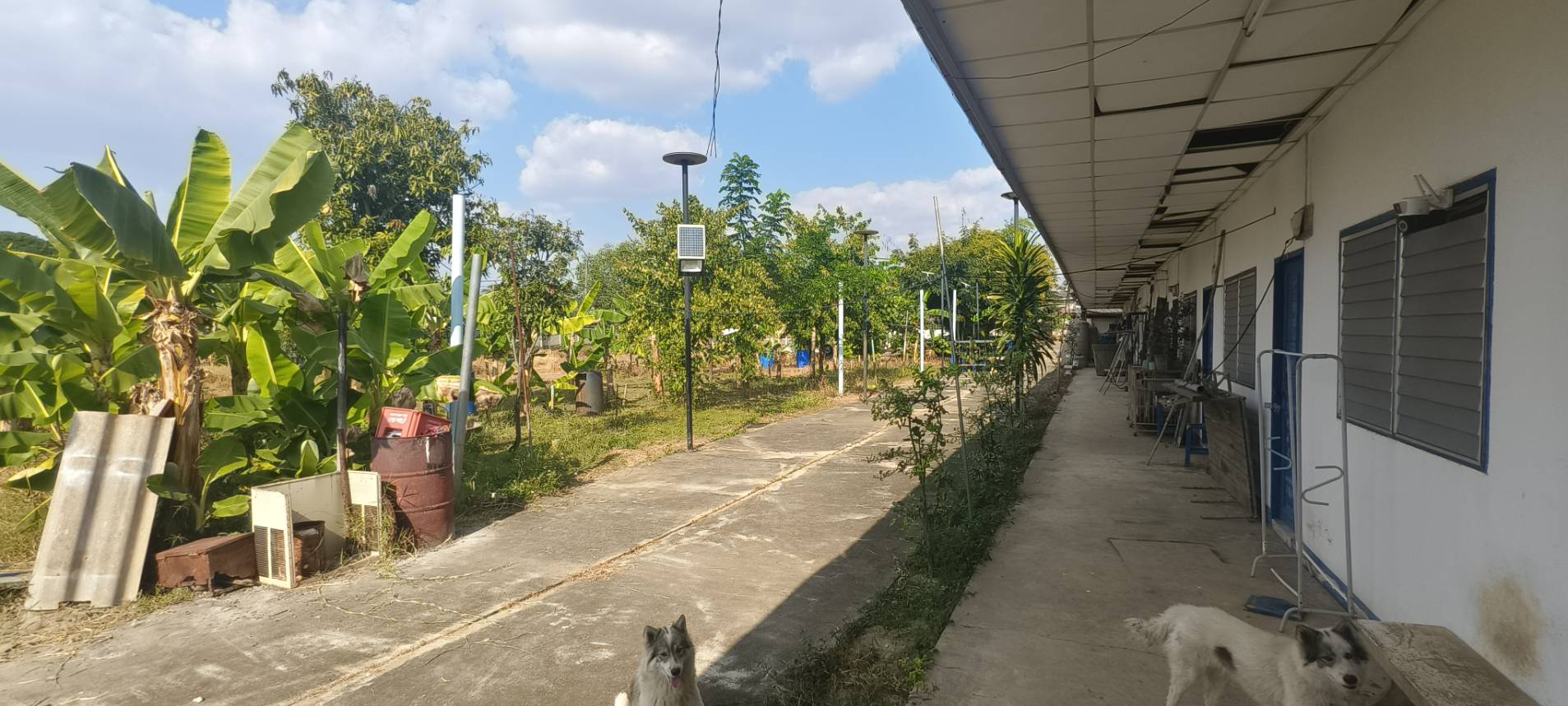 ประกาศฟรี! ซื้อ-ขาย-เช่า คอนโด บ้าน ทาวน์โฮม ที่ดิน และพื้นที่เชิงพาณิชย์ทั่วประเทศไทย ทุกทำเล ทุกงบประมาณ ไม่มีค่าใช้จ่าย ลงง่าย ขายไว เข้าถึงผู้ซื้อโดยตรง 3 314178pic2.jpg