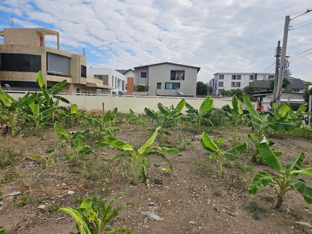 ประกาศฟรี! ซื้อ-ขาย-เช่า คอนโด บ้าน ทาวน์โฮม ที่ดิน และพื้นที่เชิงพาณิชย์ทั่วประเทศไทย ทุกทำเล ทุกงบประมาณ ไม่มีค่าใช้จ่าย ลงง่าย ขายไว เข้าถึงผู้ซื้อโดยตรง 3 508259pic2.jpg