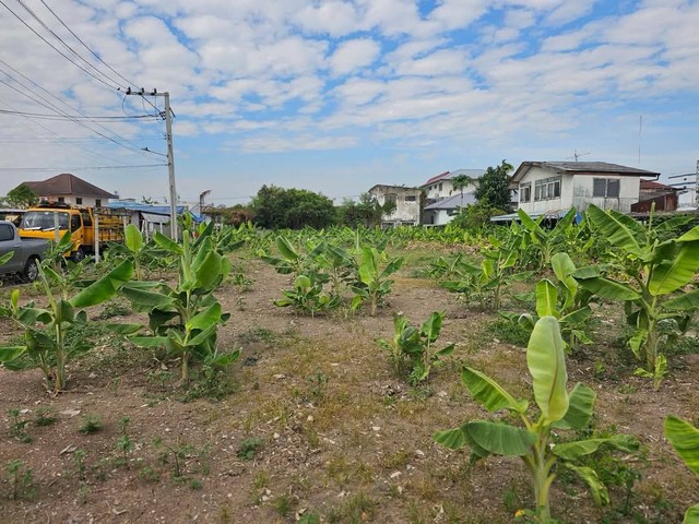 ประกาศฟรี! ซื้อ-ขาย-เช่า คอนโด บ้าน ทาวน์โฮม ที่ดิน และพื้นที่เชิงพาณิชย์ทั่วประเทศไทย ทุกทำเล ทุกงบประมาณ ไม่มีค่าใช้จ่าย ลงง่าย ขายไว เข้าถึงผู้ซื้อโดยตรง 4 508259pic3.jpg