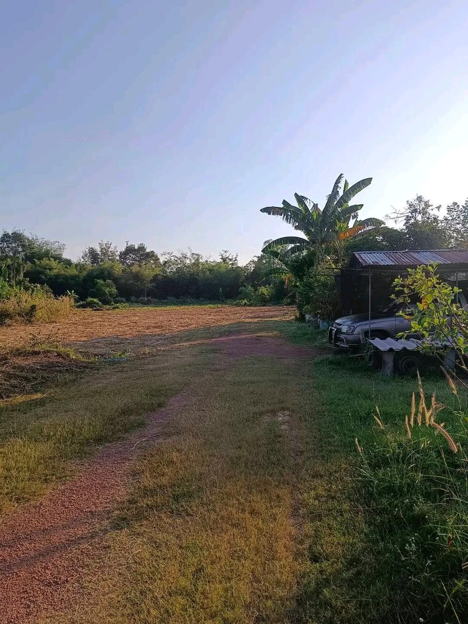 ประกาศฟรี! ซื้อ-ขาย-เช่า คอนโด บ้าน ทาวน์โฮม ที่ดิน และพื้นที่เชิงพาณิชย์ทั่วประเทศไทย ทุกทำเล ทุกงบประมาณ ไม่มีค่าใช้จ่าย ลงง่าย ขายไว เข้าถึงผู้ซื้อโดยตรง 3 314180pic2.jpg