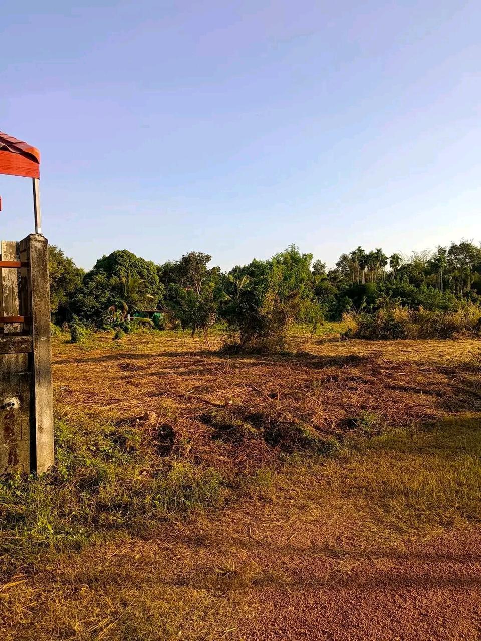 ประกาศฟรี! ซื้อ-ขาย-เช่า คอนโด บ้าน ทาวน์โฮม ที่ดิน และพื้นที่เชิงพาณิชย์ทั่วประเทศไทย ทุกทำเล ทุกงบประมาณ ไม่มีค่าใช้จ่าย ลงง่าย ขายไว เข้าถึงผู้ซื้อโดยตรง 4 314180pic3.jpg