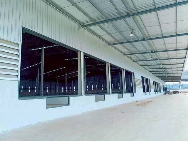 ประกาศฟรี! ซื้อ-ขาย-เช่า คอนโด บ้าน ทาวน์โฮม ที่ดิน และพื้นที่เชิงพาณิชย์ทั่วประเทศไทย ทุกทำเล ทุกงบประมาณ ไม่มีค่าใช้จ่าย ลงง่าย ขายไว เข้าถึงผู้ซื้อโดยตรง 2 314161pic1.jpg