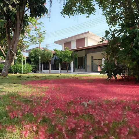 ประกาศฟรี! ซื้อ-ขาย-เช่า คอนโด บ้าน ทาวน์โฮม ที่ดิน และพื้นที่เชิงพาณิชย์ทั่วประเทศไทย ทุกทำเล ทุกงบประมาณ ไม่มีค่าใช้จ่าย ลงง่าย ขายไว เข้าถึงผู้ซื้อโดยตรง 2 314158pic1.jpg