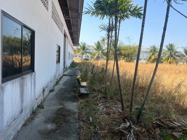 ประกาศฟรี! ซื้อ-ขาย-เช่า คอนโด บ้าน ทาวน์โฮม ที่ดิน และพื้นที่เชิงพาณิชย์ทั่วประเทศไทย ทุกทำเล ทุกงบประมาณ ไม่มีค่าใช้จ่าย ลงง่าย ขายไว เข้าถึงผู้ซื้อโดยตรง 3 314144pic2.jpg