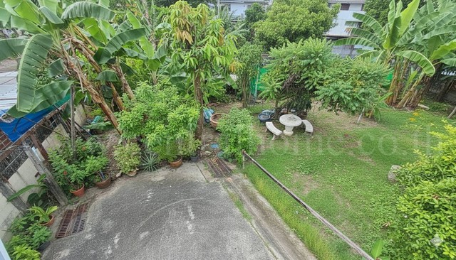 ประกาศฟรี! ซื้อ-ขาย-เช่า คอนโด บ้าน ทาวน์โฮม ที่ดิน และพื้นที่เชิงพาณิชย์ทั่วประเทศไทย ทุกทำเล ทุกงบประมาณ ไม่มีค่าใช้จ่าย ลงง่าย ขายไว เข้าถึงผู้ซื้อโดยตรง 2 228566pic1.jpg