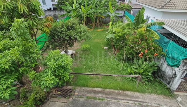 ประกาศฟรี! ซื้อ-ขาย-เช่า คอนโด บ้าน ทาวน์โฮม ที่ดิน และพื้นที่เชิงพาณิชย์ทั่วประเทศไทย ทุกทำเล ทุกงบประมาณ ไม่มีค่าใช้จ่าย ลงง่าย ขายไว เข้าถึงผู้ซื้อโดยตรง 3 228566pic2.jpg