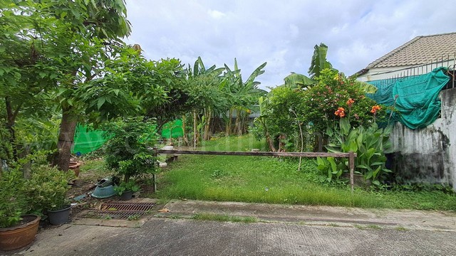 ประกาศฟรี! ซื้อ-ขาย-เช่า คอนโด บ้าน ทาวน์โฮม ที่ดิน และพื้นที่เชิงพาณิชย์ทั่วประเทศไทย ทุกทำเล ทุกงบประมาณ ไม่มีค่าใช้จ่าย ลงง่าย ขายไว เข้าถึงผู้ซื้อโดยตรง 4 228566pic3.jpg