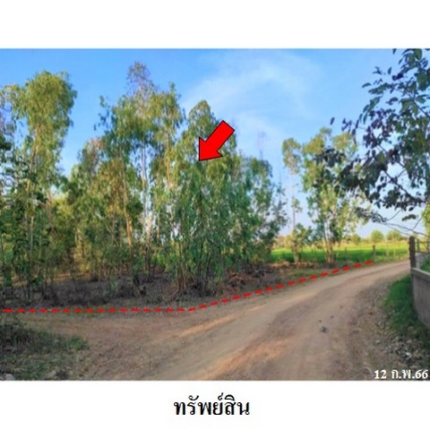 ประกาศฟรี! ซื้อ-ขาย-เช่า คอนโด บ้าน ทาวน์โฮม ที่ดิน และพื้นที่เชิงพาณิชย์ทั่วประเทศไทย ทุกทำเล ทุกงบประมาณ ไม่มีค่าใช้จ่าย ลงง่าย ขายไว เข้าถึงผู้ซื้อโดยตรง 3 237609pic2.jpg