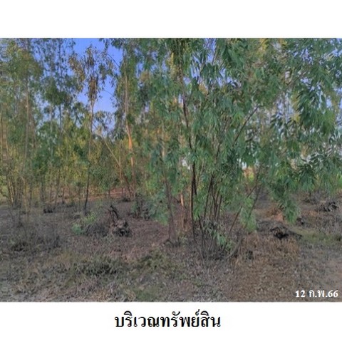 ประกาศฟรี! ซื้อ-ขาย-เช่า คอนโด บ้าน ทาวน์โฮม ที่ดิน และพื้นที่เชิงพาณิชย์ทั่วประเทศไทย ทุกทำเล ทุกงบประมาณ ไม่มีค่าใช้จ่าย ลงง่าย ขายไว เข้าถึงผู้ซื้อโดยตรง 4 237609pic3.jpg