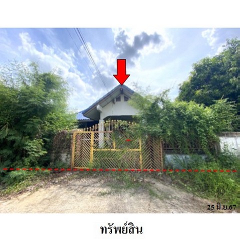 ประกาศฟรี! ซื้อ-ขาย-เช่า คอนโด บ้าน ทาวน์โฮม ที่ดิน และพื้นที่เชิงพาณิชย์ทั่วประเทศไทย ทุกทำเล ทุกงบประมาณ ไม่มีค่าใช้จ่าย ลงง่าย ขายไว เข้าถึงผู้ซื้อโดยตรง 2 237608pic1.jpg