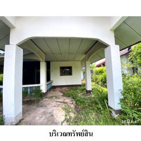 ประกาศฟรี! ซื้อ-ขาย-เช่า คอนโด บ้าน ทาวน์โฮม ที่ดิน และพื้นที่เชิงพาณิชย์ทั่วประเทศไทย ทุกทำเล ทุกงบประมาณ ไม่มีค่าใช้จ่าย ลงง่าย ขายไว เข้าถึงผู้ซื้อโดยตรง 3 237608pic2.jpg