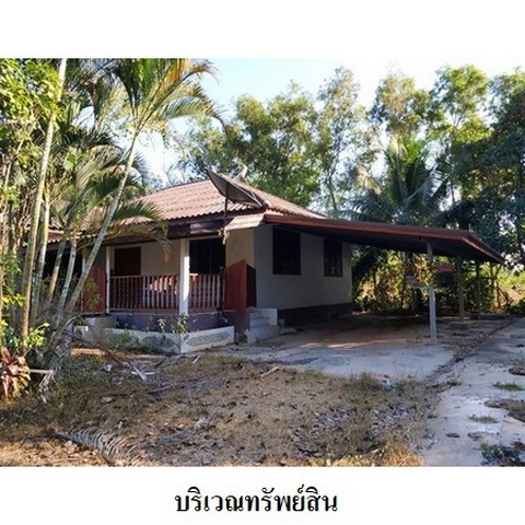 ประกาศฟรี! ซื้อ-ขาย-เช่า คอนโด บ้าน ทาวน์โฮม ที่ดิน และพื้นที่เชิงพาณิชย์ทั่วประเทศไทย ทุกทำเล ทุกงบประมาณ ไม่มีค่าใช้จ่าย ลงง่าย ขายไว เข้าถึงผู้ซื้อโดยตรง 2 237606pic1.jpg