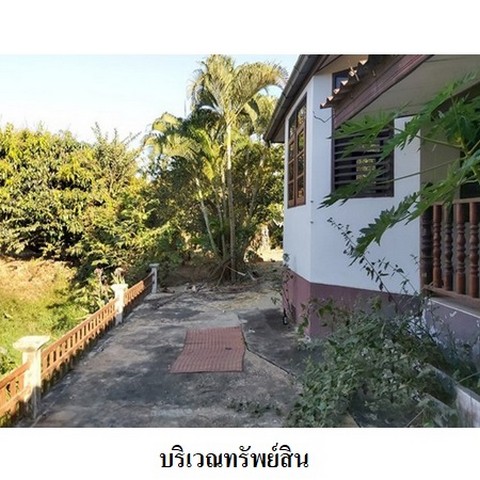 ประกาศฟรี! ซื้อ-ขาย-เช่า คอนโด บ้าน ทาวน์โฮม ที่ดิน และพื้นที่เชิงพาณิชย์ทั่วประเทศไทย ทุกทำเล ทุกงบประมาณ ไม่มีค่าใช้จ่าย ลงง่าย ขายไว เข้าถึงผู้ซื้อโดยตรง 4 237606pic3.jpg