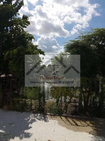 ประกาศฟรี! ซื้อ-ขาย-เช่า คอนโด บ้าน ทาวน์โฮม ที่ดิน และพื้นที่เชิงพาณิชย์ทั่วประเทศไทย ทุกทำเล ทุกงบประมาณ ไม่มีค่าใช้จ่าย ลงง่าย ขายไว เข้าถึงผู้ซื้อโดยตรง 2 511143pic1.jpg