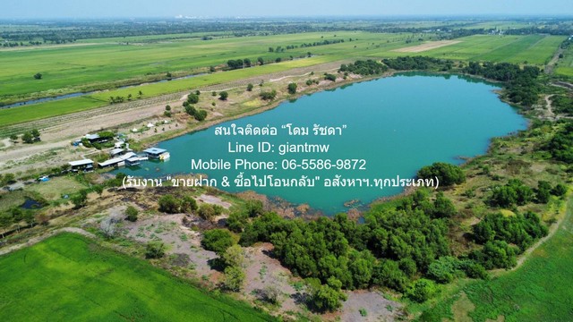 ประกาศฟรี! ซื้อ-ขาย-เช่า คอนโด บ้าน ทาวน์โฮม ที่ดิน และพื้นที่เชิงพาณิชย์ทั่วประเทศไทย ทุกทำเล ทุกงบประมาณ ไม่มีค่าใช้จ่าย ลงง่าย ขายไว เข้าถึงผู้ซื้อโดยตรง 3 314119pic2.jpg