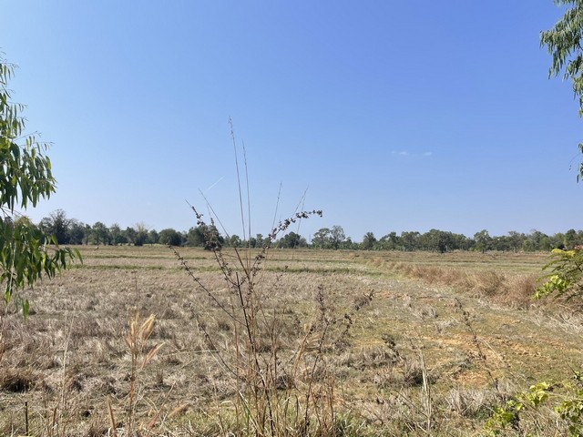 ประกาศฟรี! ซื้อ-ขาย-เช่า คอนโด บ้าน ทาวน์โฮม ที่ดิน และพื้นที่เชิงพาณิชย์ทั่วประเทศไทย ทุกทำเล ทุกงบประมาณ ไม่มีค่าใช้จ่าย ลงง่าย ขายไว เข้าถึงผู้ซื้อโดยตรง 3 314231pic2.jpg