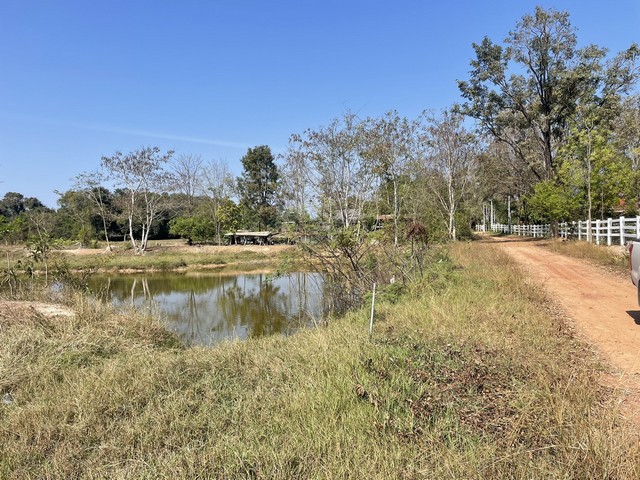 ประกาศฟรี! ซื้อ-ขาย-เช่า คอนโด บ้าน ทาวน์โฮม ที่ดิน และพื้นที่เชิงพาณิชย์ทั่วประเทศไทย ทุกทำเล ทุกงบประมาณ ไม่มีค่าใช้จ่าย ลงง่าย ขายไว เข้าถึงผู้ซื้อโดยตรง 4 314231pic3.jpg