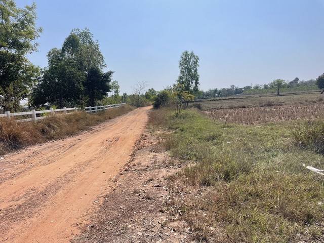 ประกาศฟรี! ซื้อ-ขาย-เช่า คอนโด บ้าน ทาวน์โฮม ที่ดิน และพื้นที่เชิงพาณิชย์ทั่วประเทศไทย ทุกทำเล ทุกงบประมาณ ไม่มีค่าใช้จ่าย ลงง่าย ขายไว เข้าถึงผู้ซื้อโดยตรง 5 314231pic4.jpg