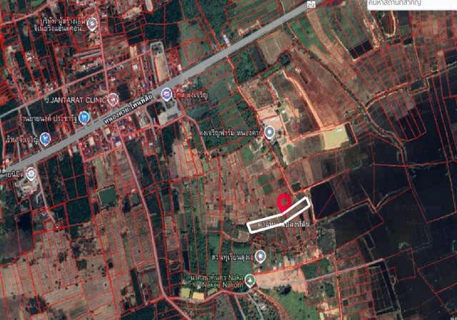 ประกาศฟรี! ซื้อ-ขาย-เช่า คอนโด บ้าน ทาวน์โฮม ที่ดิน และพื้นที่เชิงพาณิชย์ทั่วประเทศไทย ทุกทำเล ทุกงบประมาณ ไม่มีค่าใช้จ่าย ลงง่าย ขายไว เข้าถึงผู้ซื้อโดยตรง 2 314237pic1.jpg