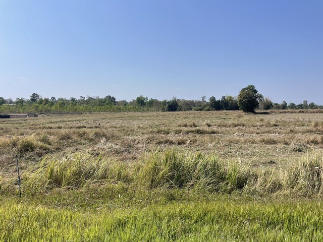 ประกาศฟรี! ซื้อ-ขาย-เช่า คอนโด บ้าน ทาวน์โฮม ที่ดิน และพื้นที่เชิงพาณิชย์ทั่วประเทศไทย ทุกทำเล ทุกงบประมาณ ไม่มีค่าใช้จ่าย ลงง่าย ขายไว เข้าถึงผู้ซื้อโดยตรง 4 314237pic3.jpg