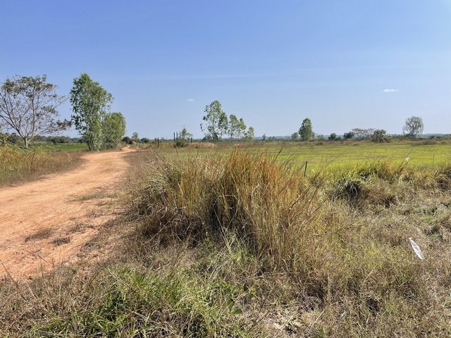 ประกาศฟรี! ซื้อ-ขาย-เช่า คอนโด บ้าน ทาวน์โฮม ที่ดิน และพื้นที่เชิงพาณิชย์ทั่วประเทศไทย ทุกทำเล ทุกงบประมาณ ไม่มีค่าใช้จ่าย ลงง่าย ขายไว เข้าถึงผู้ซื้อโดยตรง 5 314237pic4.jpg