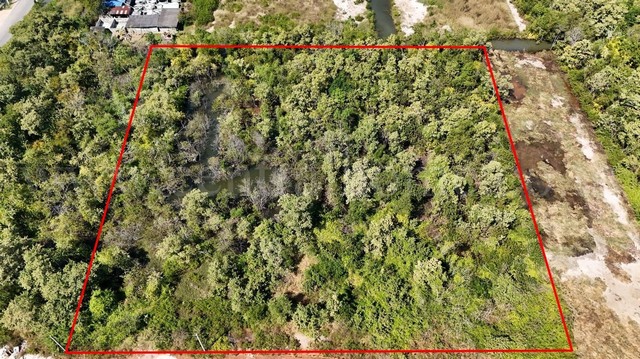 ประกาศฟรี! ซื้อ-ขาย-เช่า คอนโด บ้าน ทาวน์โฮม ที่ดิน และพื้นที่เชิงพาณิชย์ทั่วประเทศไทย ทุกทำเล ทุกงบประมาณ ไม่มีค่าใช้จ่าย ลงง่าย ขายไว เข้าถึงผู้ซื้อโดยตรง 2 293292pic1.jpg