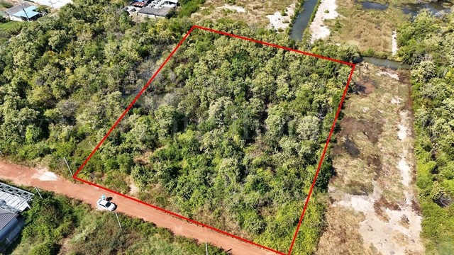 ประกาศฟรี! ซื้อ-ขาย-เช่า คอนโด บ้าน ทาวน์โฮม ที่ดิน และพื้นที่เชิงพาณิชย์ทั่วประเทศไทย ทุกทำเล ทุกงบประมาณ ไม่มีค่าใช้จ่าย ลงง่าย ขายไว เข้าถึงผู้ซื้อโดยตรง 3 293292pic2.jpg