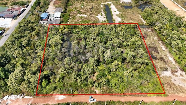 ประกาศฟรี! ซื้อ-ขาย-เช่า คอนโด บ้าน ทาวน์โฮม ที่ดิน และพื้นที่เชิงพาณิชย์ทั่วประเทศไทย ทุกทำเล ทุกงบประมาณ ไม่มีค่าใช้จ่าย ลงง่าย ขายไว เข้าถึงผู้ซื้อโดยตรง 5 293292pic4.jpg