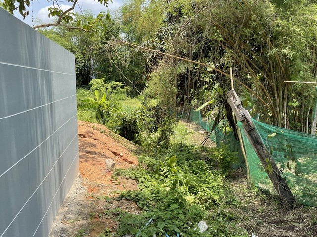 ประกาศฟรี! ซื้อ-ขาย-เช่า คอนโด บ้าน ทาวน์โฮม ที่ดิน และพื้นที่เชิงพาณิชย์ทั่วประเทศไทย ทุกทำเล ทุกงบประมาณ ไม่มีค่าใช้จ่าย ลงง่าย ขายไว เข้าถึงผู้ซื้อโดยตรง 3 249866pic2.jpg