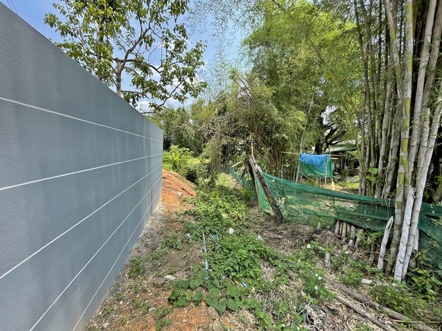 ประกาศฟรี! ซื้อ-ขาย-เช่า คอนโด บ้าน ทาวน์โฮม ที่ดิน และพื้นที่เชิงพาณิชย์ทั่วประเทศไทย ทุกทำเล ทุกงบประมาณ ไม่มีค่าใช้จ่าย ลงง่าย ขายไว เข้าถึงผู้ซื้อโดยตรง 4 249866pic3.jpg