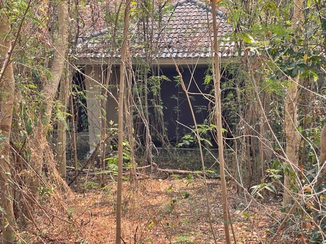 ประกาศฟรี! ซื้อ-ขาย-เช่า คอนโด บ้าน ทาวน์โฮม ที่ดิน และพื้นที่เชิงพาณิชย์ทั่วประเทศไทย ทุกทำเล ทุกงบประมาณ ไม่มีค่าใช้จ่าย ลงง่าย ขายไว เข้าถึงผู้ซื้อโดยตรง 2 249865pic1.jpg