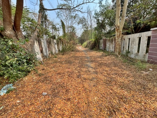 ประกาศฟรี! ซื้อ-ขาย-เช่า คอนโด บ้าน ทาวน์โฮม ที่ดิน และพื้นที่เชิงพาณิชย์ทั่วประเทศไทย ทุกทำเล ทุกงบประมาณ ไม่มีค่าใช้จ่าย ลงง่าย ขายไว เข้าถึงผู้ซื้อโดยตรง 4 249865pic3.jpg