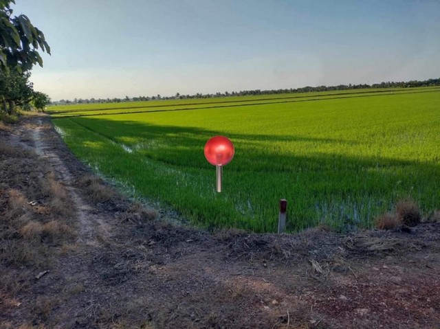 ประกาศฟรี! ซื้อ-ขาย-เช่า คอนโด บ้าน ทาวน์โฮม ที่ดิน และพื้นที่เชิงพาณิชย์ทั่วประเทศไทย ทุกทำเล ทุกงบประมาณ ไม่มีค่าใช้จ่าย ลงง่าย ขายไว เข้าถึงผู้ซื้อโดยตรง 2 249935pic1.jpg