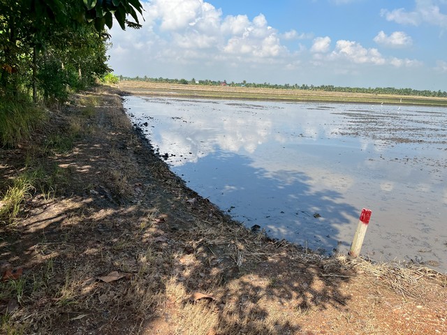 ประกาศฟรี! ซื้อ-ขาย-เช่า คอนโด บ้าน ทาวน์โฮม ที่ดิน และพื้นที่เชิงพาณิชย์ทั่วประเทศไทย ทุกทำเล ทุกงบประมาณ ไม่มีค่าใช้จ่าย ลงง่าย ขายไว เข้าถึงผู้ซื้อโดยตรง 3 249935pic2.jpg