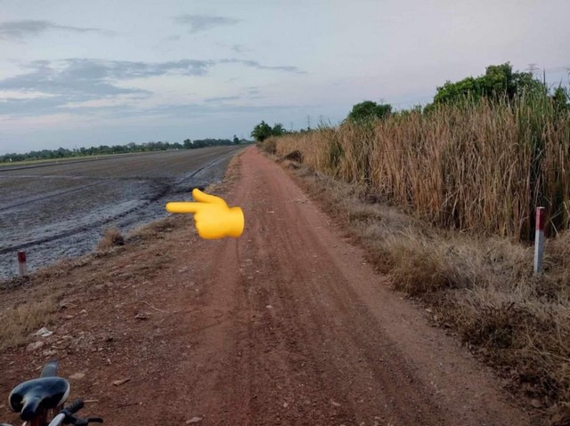 ประกาศฟรี! ซื้อ-ขาย-เช่า คอนโด บ้าน ทาวน์โฮม ที่ดิน และพื้นที่เชิงพาณิชย์ทั่วประเทศไทย ทุกทำเล ทุกงบประมาณ ไม่มีค่าใช้จ่าย ลงง่าย ขายไว เข้าถึงผู้ซื้อโดยตรง 5 249935pic4.jpg