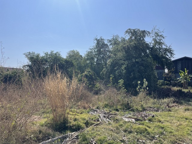 ประกาศฟรี! ซื้อ-ขาย-เช่า คอนโด บ้าน ทาวน์โฮม ที่ดิน และพื้นที่เชิงพาณิชย์ทั่วประเทศไทย ทุกทำเล ทุกงบประมาณ ไม่มีค่าใช้จ่าย ลงง่าย ขายไว เข้าถึงผู้ซื้อโดยตรง 4 314249pic3.jpg