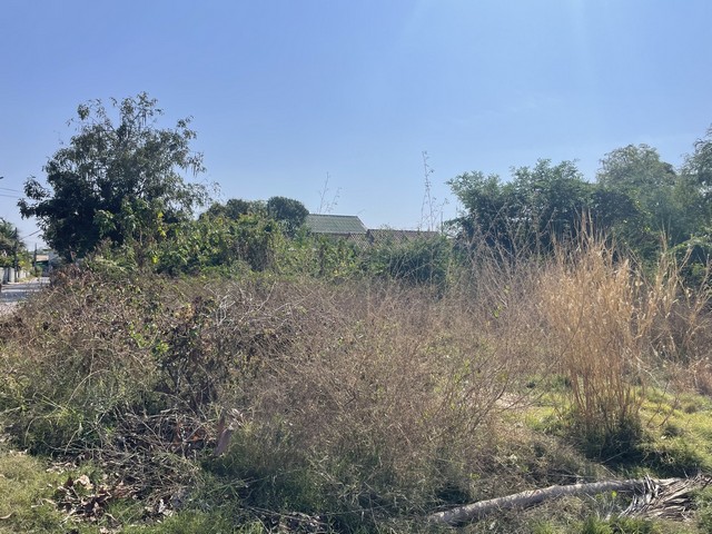 ประกาศฟรี! ซื้อ-ขาย-เช่า คอนโด บ้าน ทาวน์โฮม ที่ดิน และพื้นที่เชิงพาณิชย์ทั่วประเทศไทย ทุกทำเล ทุกงบประมาณ ไม่มีค่าใช้จ่าย ลงง่าย ขายไว เข้าถึงผู้ซื้อโดยตรง 5 314249pic4.jpg