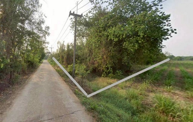 ประกาศฟรี! ซื้อ-ขาย-เช่า คอนโด บ้าน ทาวน์โฮม ที่ดิน และพื้นที่เชิงพาณิชย์ทั่วประเทศไทย ทุกทำเล ทุกงบประมาณ ไม่มีค่าใช้จ่าย ลงง่าย ขายไว เข้าถึงผู้ซื้อโดยตรง 4 314290pic3.jpg