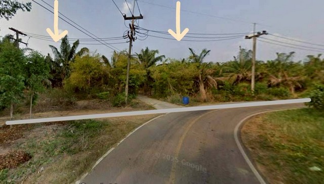 ประกาศฟรี! ซื้อ-ขาย-เช่า คอนโด บ้าน ทาวน์โฮม ที่ดิน และพื้นที่เชิงพาณิชย์ทั่วประเทศไทย ทุกทำเล ทุกงบประมาณ ไม่มีค่าใช้จ่าย ลงง่าย ขายไว เข้าถึงผู้ซื้อโดยตรง 5 314290pic4.jpg