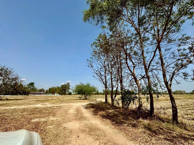 ประกาศฟรี! ซื้อ-ขาย-เช่า คอนโด บ้าน ทาวน์โฮม ที่ดิน และพื้นที่เชิงพาณิชย์ทั่วประเทศไทย ทุกทำเล ทุกงบประมาณ ไม่มีค่าใช้จ่าย ลงง่าย ขายไว เข้าถึงผู้ซื้อโดยตรง 4 314287pic3.jpg