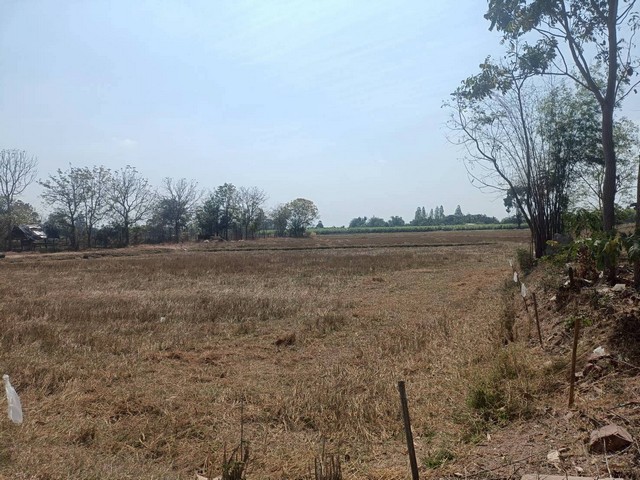 ประกาศฟรี! ซื้อ-ขาย-เช่า คอนโด บ้าน ทาวน์โฮม ที่ดิน และพื้นที่เชิงพาณิชย์ทั่วประเทศไทย ทุกทำเล ทุกงบประมาณ ไม่มีค่าใช้จ่าย ลงง่าย ขายไว เข้าถึงผู้ซื้อโดยตรง 5 249964pic4.jpg