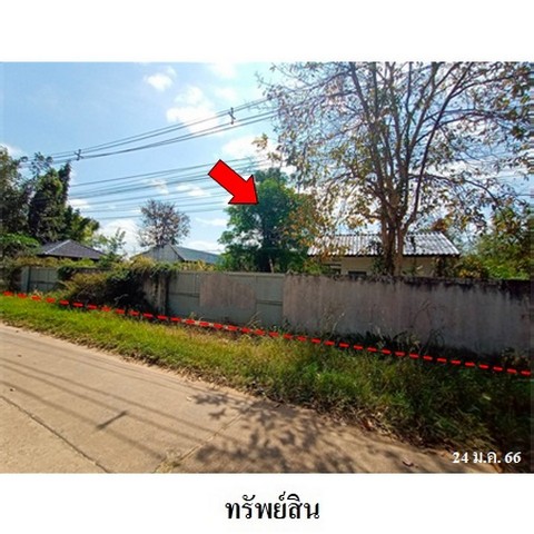 ประกาศฟรี! ซื้อ-ขาย-เช่า คอนโด บ้าน ทาวน์โฮม ที่ดิน และพื้นที่เชิงพาณิชย์ทั่วประเทศไทย ทุกทำเล ทุกงบประมาณ ไม่มีค่าใช้จ่าย ลงง่าย ขายไว เข้าถึงผู้ซื้อโดยตรง 2 237716pic1.jpg