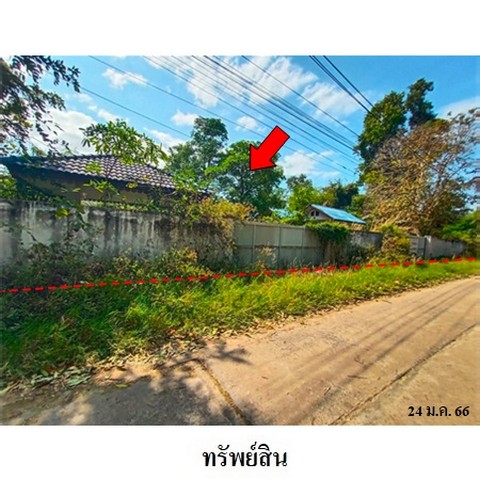 ประกาศฟรี! ซื้อ-ขาย-เช่า คอนโด บ้าน ทาวน์โฮม ที่ดิน และพื้นที่เชิงพาณิชย์ทั่วประเทศไทย ทุกทำเล ทุกงบประมาณ ไม่มีค่าใช้จ่าย ลงง่าย ขายไว เข้าถึงผู้ซื้อโดยตรง 3 237716pic2.jpg