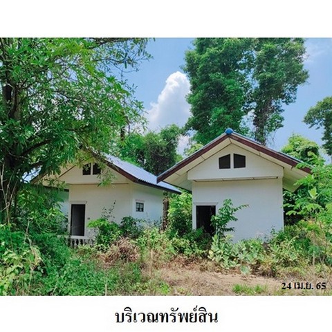 ประกาศฟรี! ซื้อ-ขาย-เช่า คอนโด บ้าน ทาวน์โฮม ที่ดิน และพื้นที่เชิงพาณิชย์ทั่วประเทศไทย ทุกทำเล ทุกงบประมาณ ไม่มีค่าใช้จ่าย ลงง่าย ขายไว เข้าถึงผู้ซื้อโดยตรง 4 237716pic3.jpg